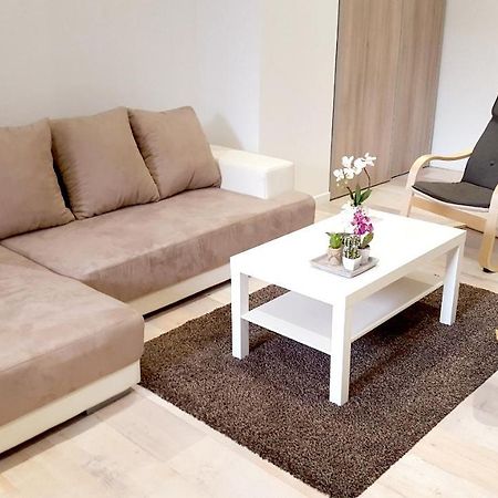Apartament L'Haussmannien Stephanois Saint-Etienne  Zewnętrze zdjęcie