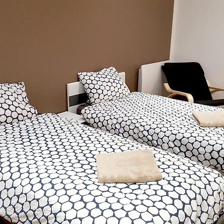 Apartament L'Haussmannien Stephanois Saint-Etienne  Zewnętrze zdjęcie